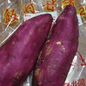 リベンジ！！！ 飯村の芋　