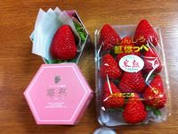 寒熟いちご
