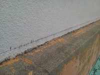 炎天下で♪豊橋の大工さん