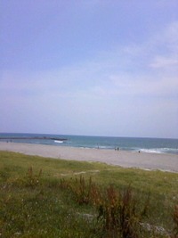 2010年06月06日