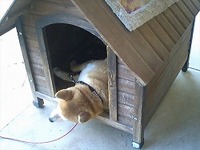 狭いの？