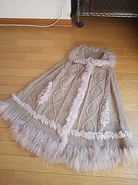 理想的なポンチョ