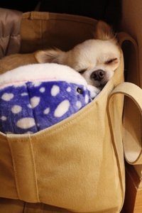 カミナリ