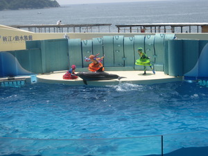 新江ノ島水族館