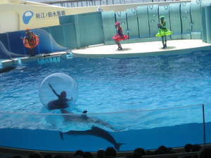 新江ノ島水族館