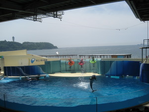 新江ノ島水族館