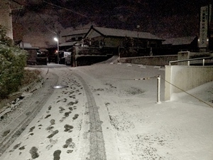 雪の夜の散歩