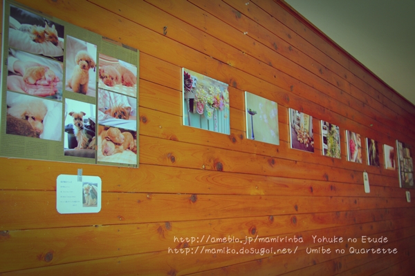 ☆メイシーさんにて写真展☆