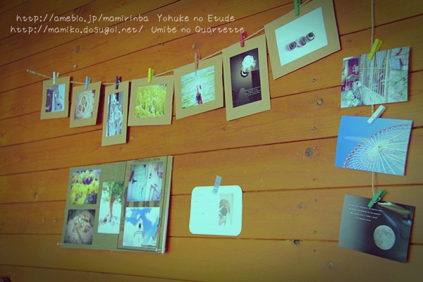 ☆メイシーさんにて写真展☆