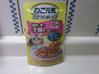 ☆子猫☆