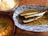 まったく太らないベンの食事