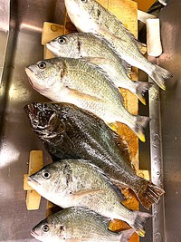 預かり調理です