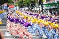 豊橋まつりに、高知よさこい大賞『ほにや』参上！