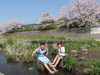 平成２５年４月から一気に・・・。