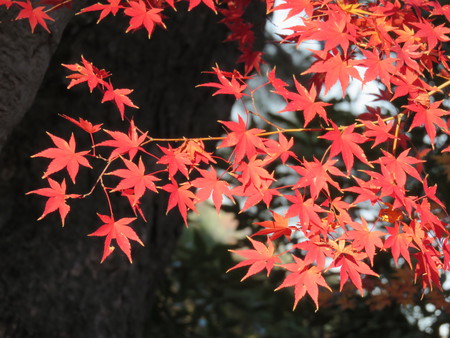 兼六園！7