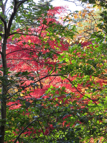 兼六園！7