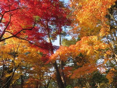 兼六園！7