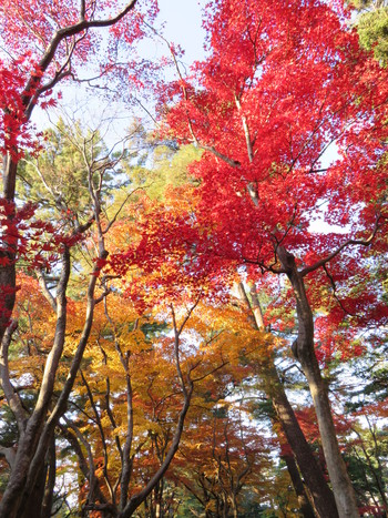 兼六園！7