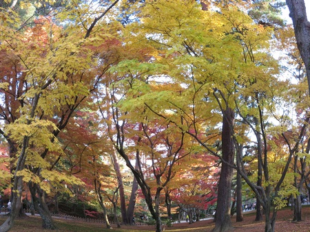 兼六園！7