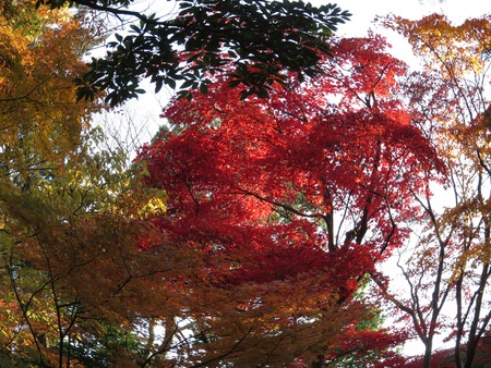 兼六園！7
