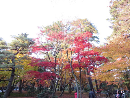 兼六園！7