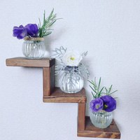 今日のお花 2021/06/18 00:09:19