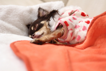ホワイトバランスをいじって夜が朝に