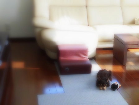 お気に入りの帽子