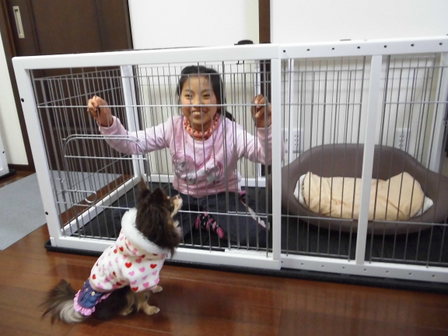 小学生でも入れるペット用ケージ
