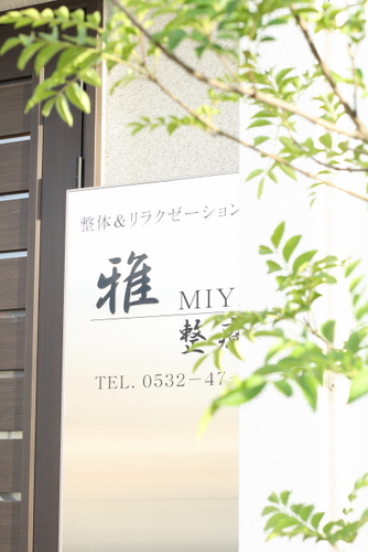 抱っこでお散歩