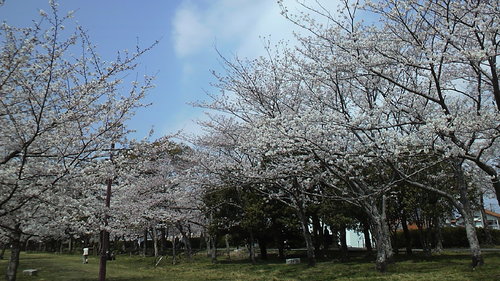 今年もありがとう。。