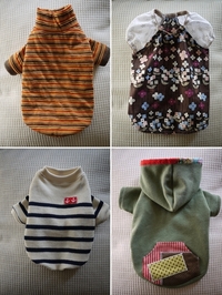☆　Le chien チラッと見せ！☆