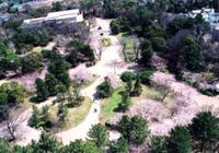 豊橋公園　part１。