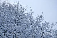 すごい雪だった