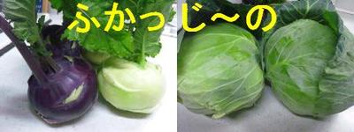 「ふかっじ～のサラダ」とメインは。。。