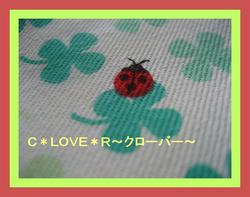 「Ｃ＊ＬＯＶＥ＊Ｒ」詳細