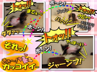 ボールで大はしゃぎ
