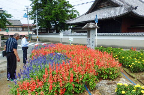 花壇コンクールの審査中