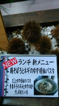 ランチ新メニュー
