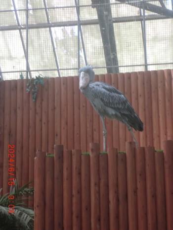 掛川花鳥園