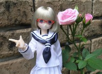 初めてのハイビスカス