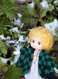 雪の日に