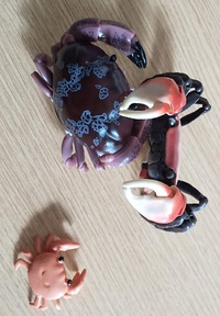 蟹のフィギュアと戯れた日々