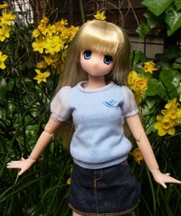 サアラさんと糸水仙