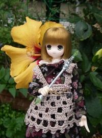 ハイビスカス咲き始めました2024
