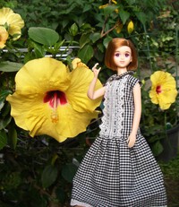 ハコニワトリ２０２４夏祭りその１