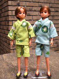 双子のイサムとカエルとハイビスカス
