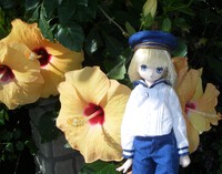 横に四輪並んだ