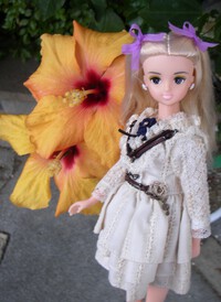 白髪スージーと季節の花々