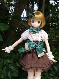 マラカイトアリサ